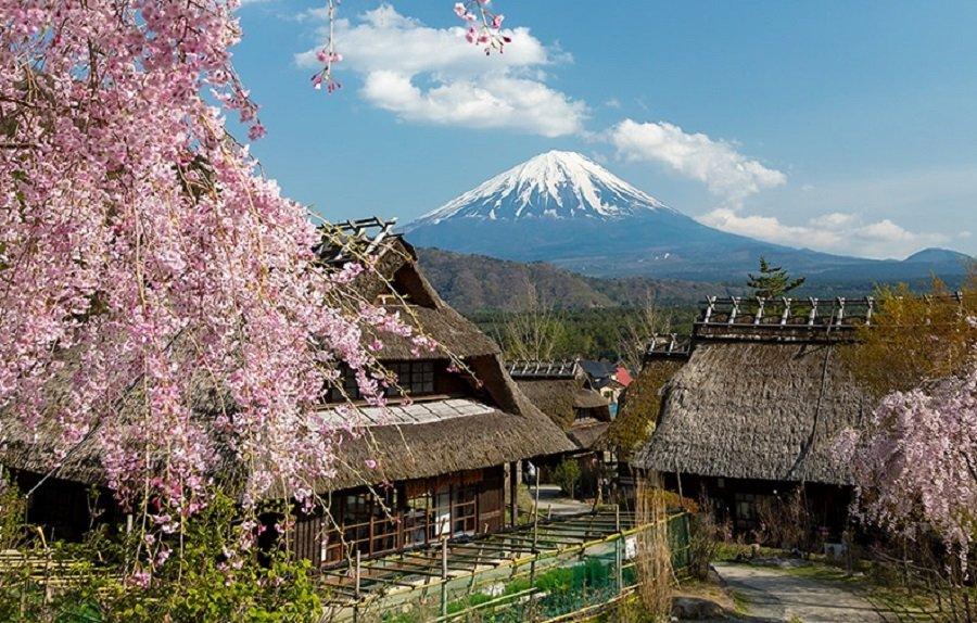 Saiko Iyashi-no-Sato Nemba, satu tempat terbaik di Jepang buat menyaksikan pesona Gunung Fuji yang ikonik.