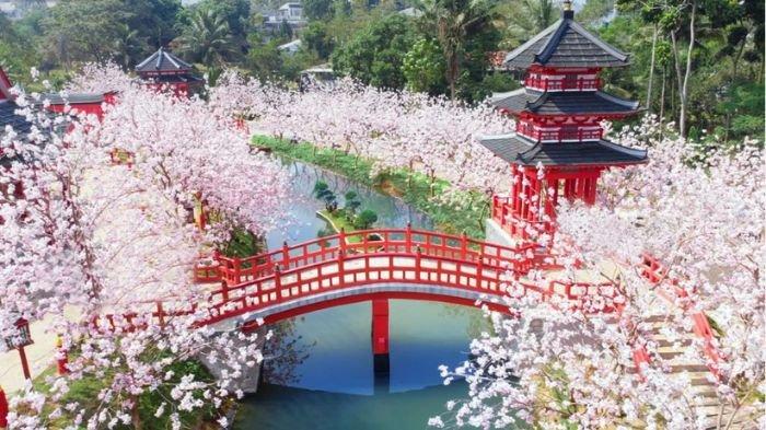 Sakura Park MiniMania Puncak.