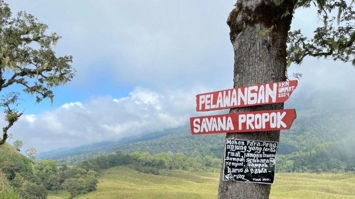 Salah satu spot foto terlaris di bukit Savana Propok di Lombok, Nusa Tenggara Barat (NTB).