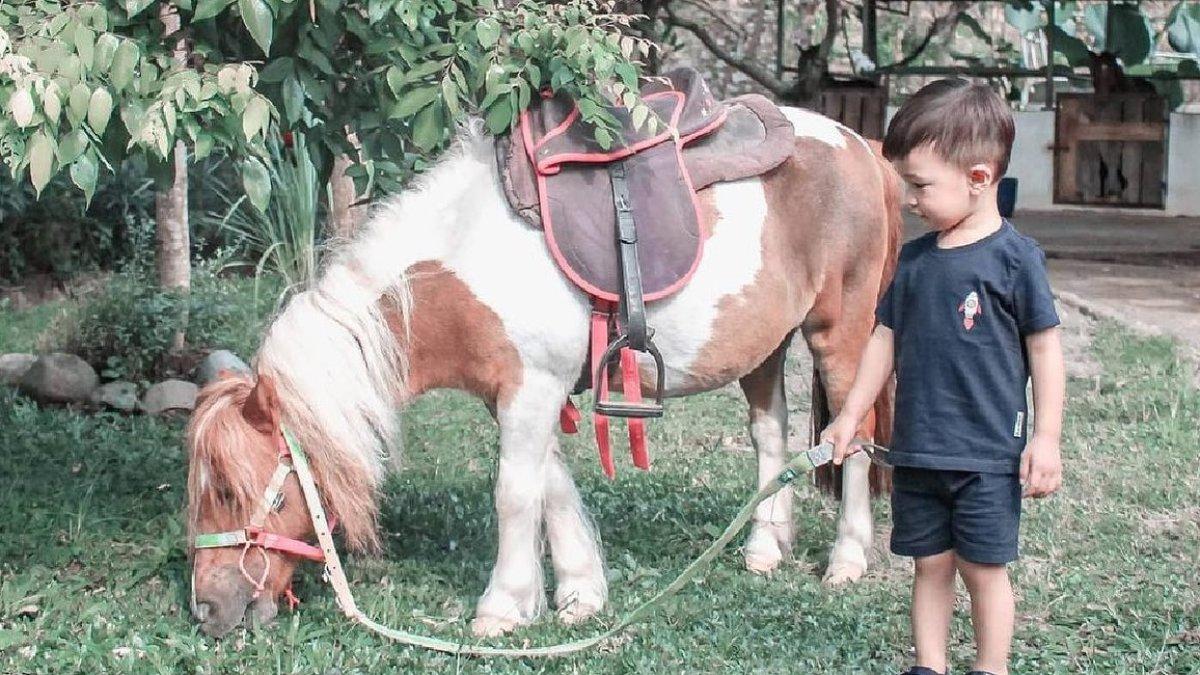 Santosa Park & Stable menawarkan wahana berkuda. Dan buat kamu yang mau belajar khusus juga ada.