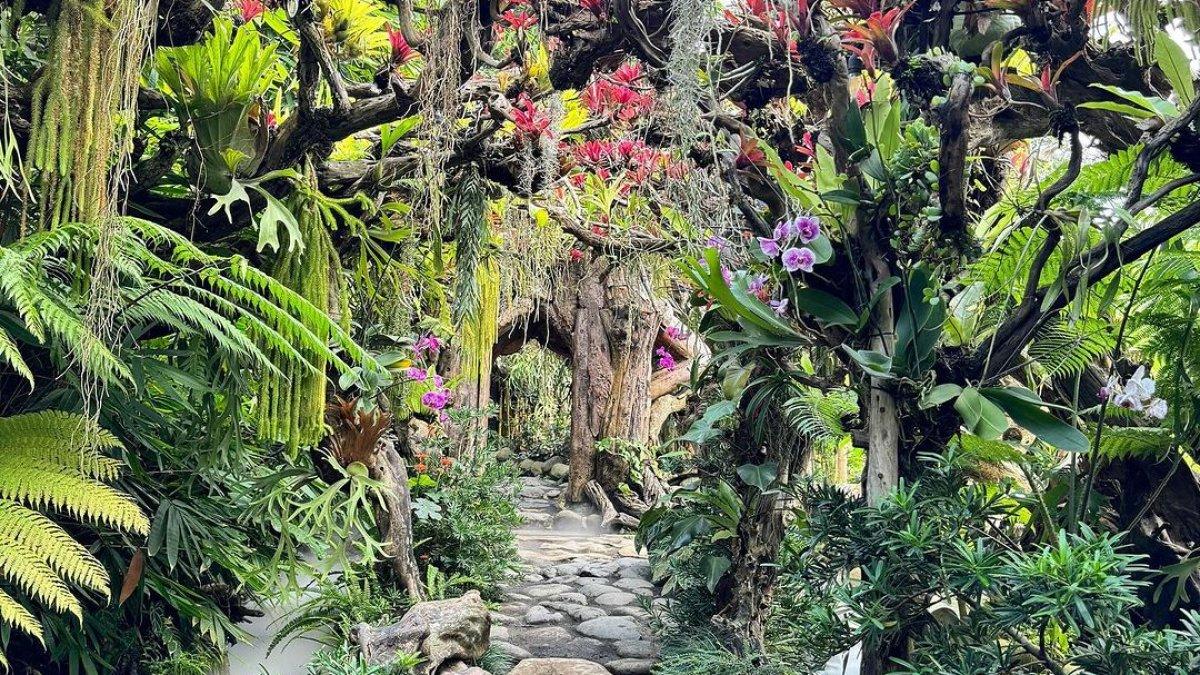 Sari Timbul, satu tempat wisata di Ubud Bali