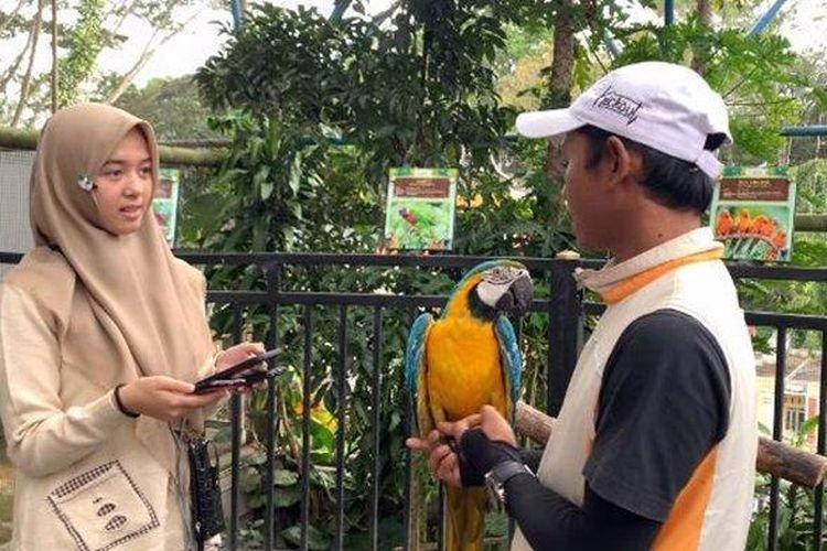 Satwa yang ada di Kinantan Bird Park, Bukittinggi, Sumatera Barat