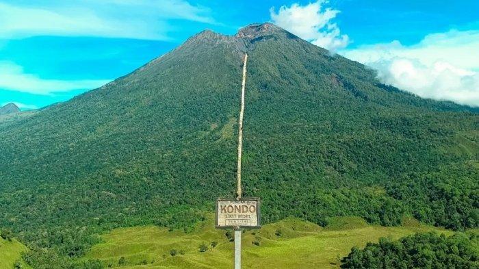 Savana Propok, bukit di Lombok, Nusa Tenggara Barat (NTB) yang jadi tempat wisata favorit para pencinta alam.