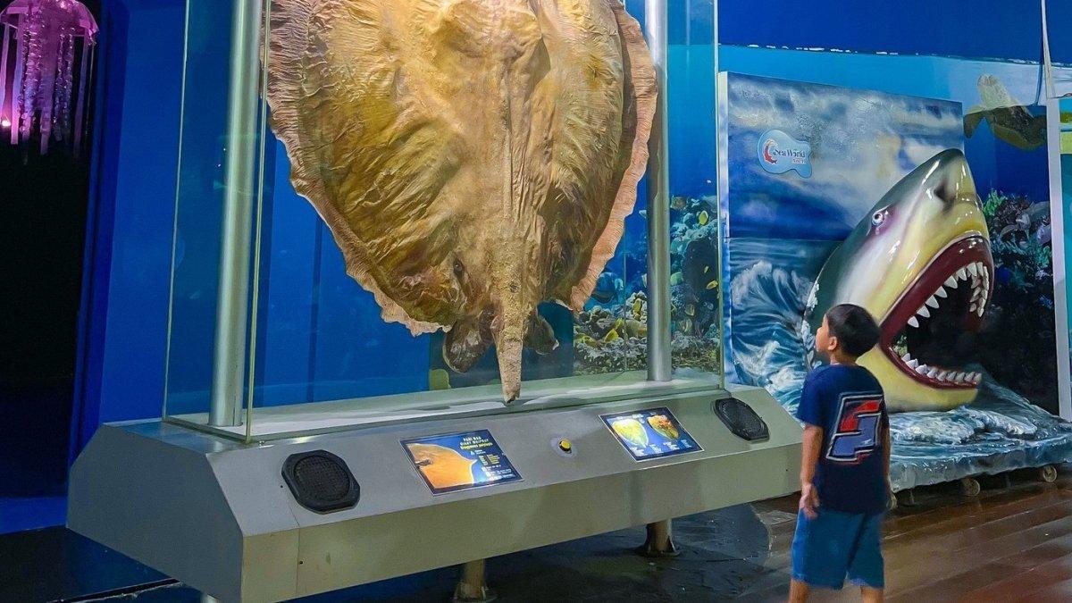 Sea World Ancol Jakarta bisa menjadi pilihan wisata saat libur Lebaran.