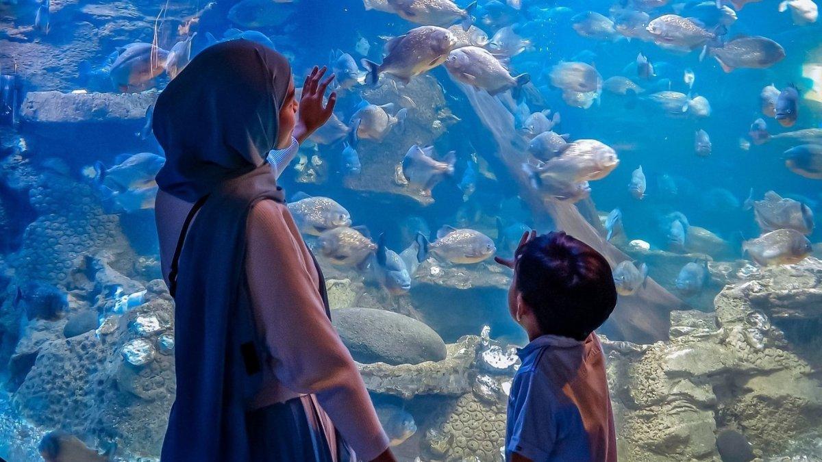 Sea World Ancol, tempat wisata populer di Jakarta untuk liburan sekeluarga.