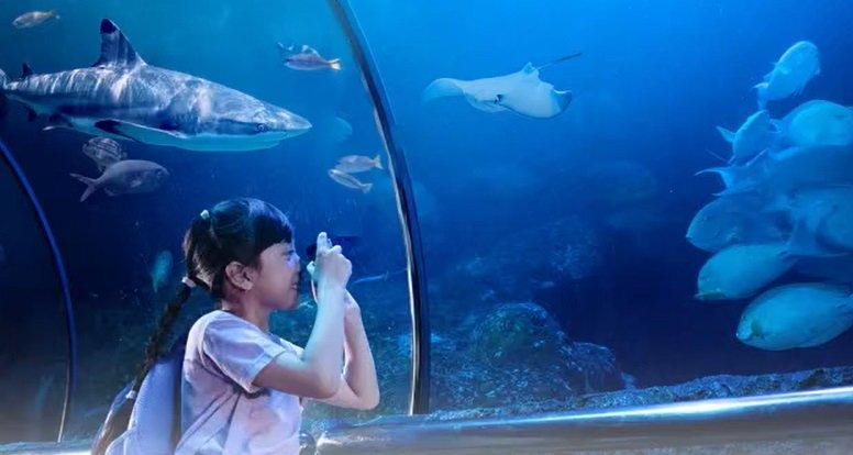 Wisatawan memotret di Sea World Ancol, Jakarta.