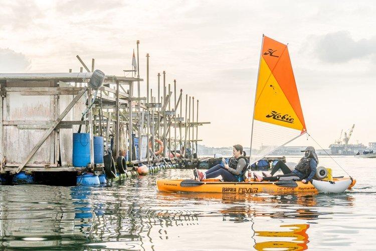 Seadog Kayak Sailing Tour: Jungle Book, satu tur terbaik di Singapura yang wajib kamu coba.