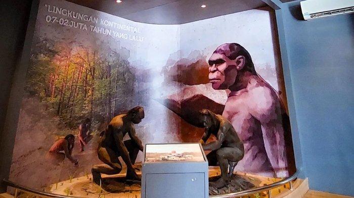 Sejumlah koleksi yang tersimpan di Museum Semedo di Kecamatan Kedungbanteng, Kabupaten Tegal, Jawa Tengah.