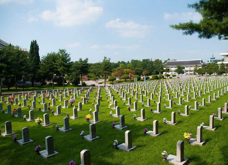 Seoul National Cemetery, satu tempat wisata terbaik di Seoul Korea Selatan buat menyaksikan keindahan bunga sakura.