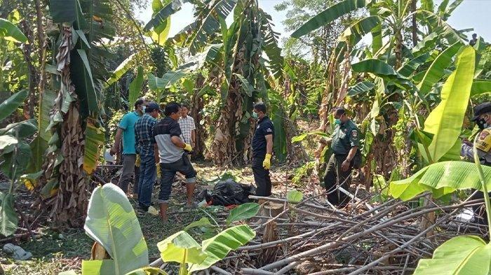 Sesosok mayat pria ditemukan di kebun pisang dekat sungai, di Dukuh Karangturi, Kecamatan Polanharjo, Kabupaten Klaten, Rabu (10/7/2024).