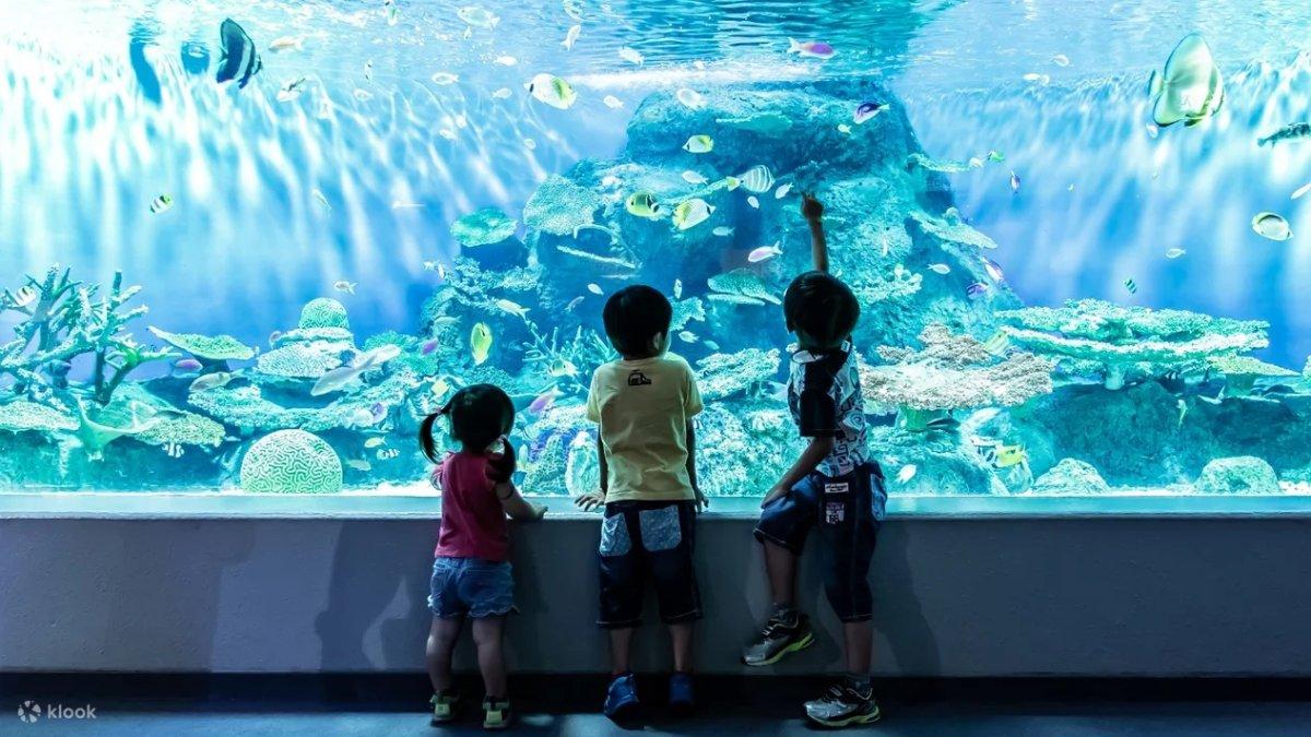Shinagawa Aquarium, satu aquarium terbaik di Tokyo Jepang buat dikunjungi bareng anak.
