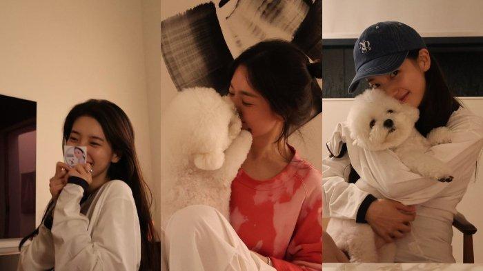Song Hye Kyo dan Bae Suzy tampak lagi nongkrong bareng.