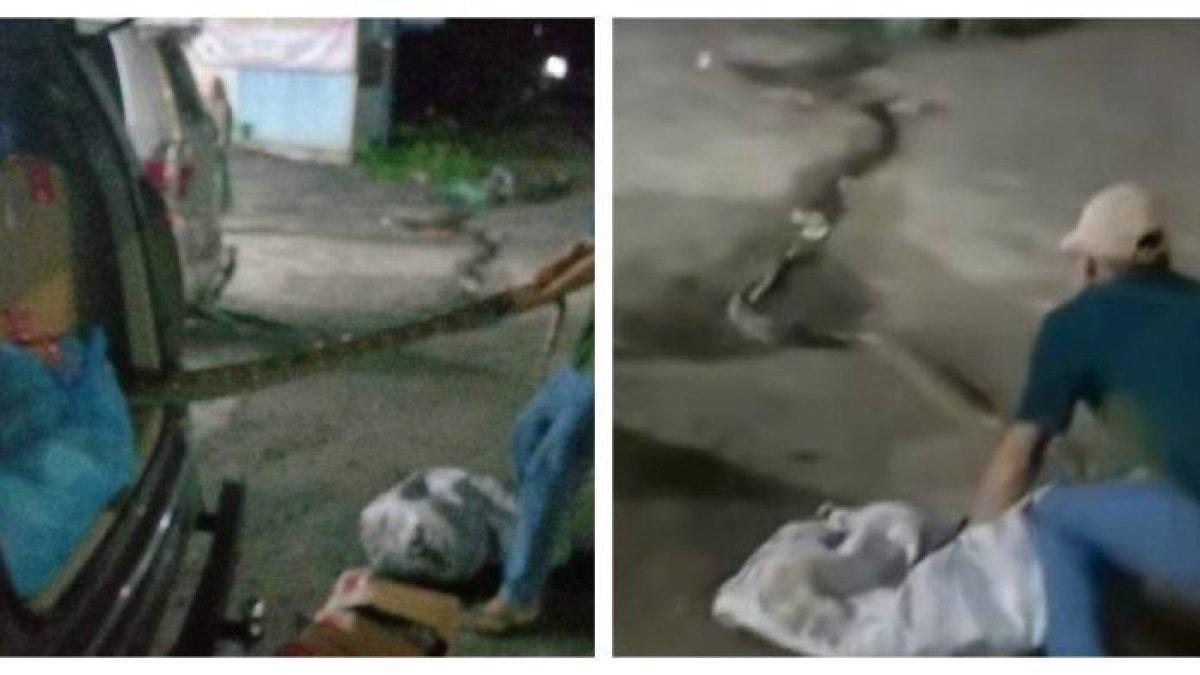 Sopir travel marah gegara panik ada paket ular piton di mobilnya, lepas hingga lilit penumpang.
