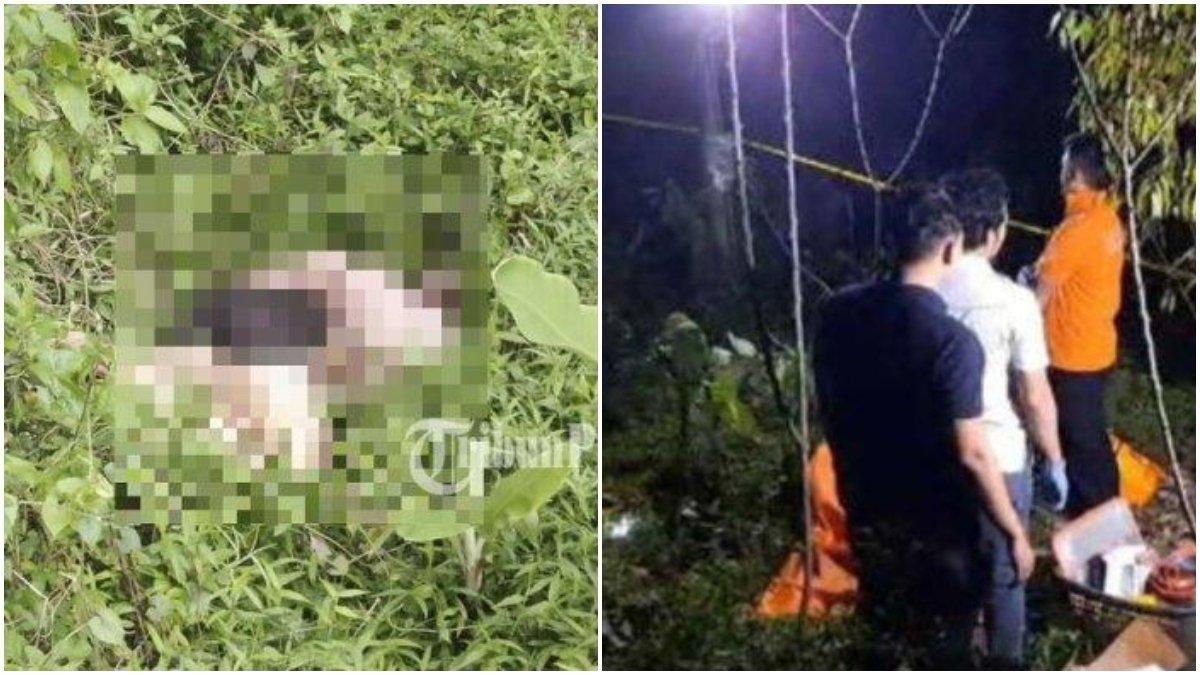 Sosok jasad perempuan muda ditemukan di antara semak belukar di kebun durian Kampung Sedaleuwih, Desa Puteran, Kecamatan Pagerageung, Kabupaten Tasikmalaya, Jawa Barat pada Rabu (29/11/2023) sore.