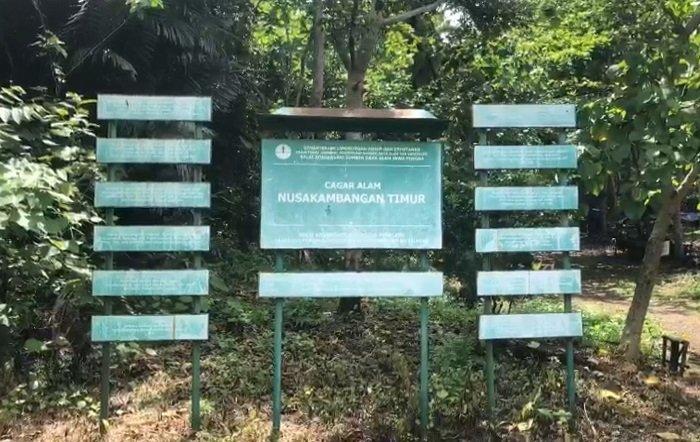 Salah satu spot foto di Pulau Nusa Kambangan yang menjadi favorit para wisatawan, Selasa (4/10/2022).