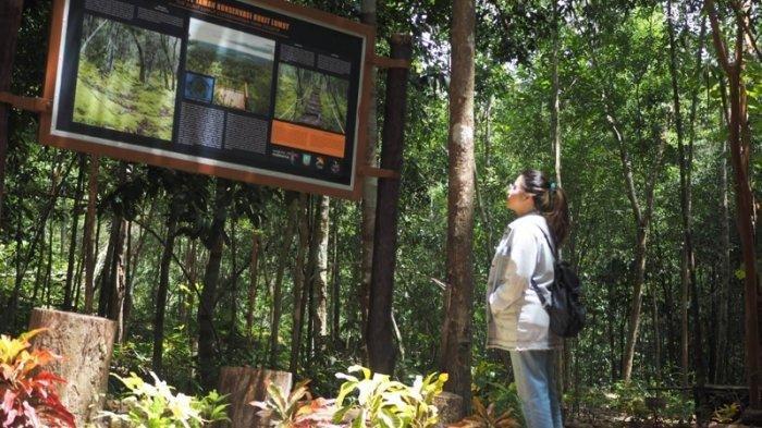 Spot foto di Destinasi wisata Gunung Lumut, Belitung.