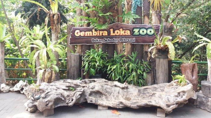 Spot foto instagramable di Gembira Loka Zoo Kecamatan Kotagede, Jogja.