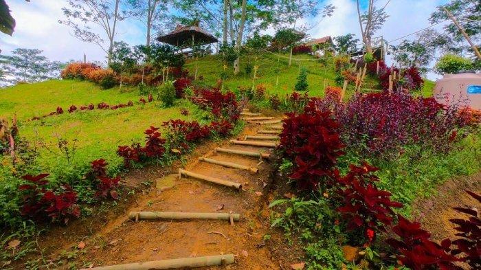 Spot foto instagramable di One Heart Hill, tempat wisata hits di Langkat.