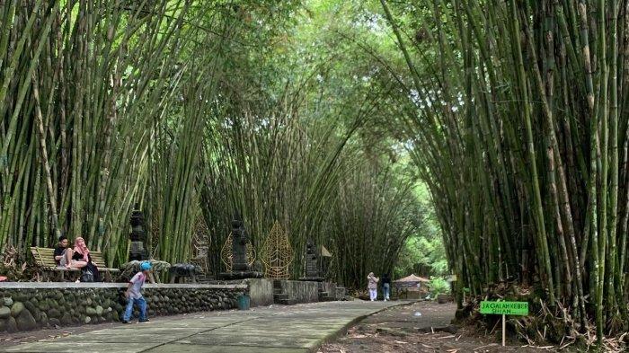 Suasana Hutan Bambu Lumajang, tempat wisata hits dan populer di Jawa Timur yang cocok untuk healing saat liburan akhir pekan.