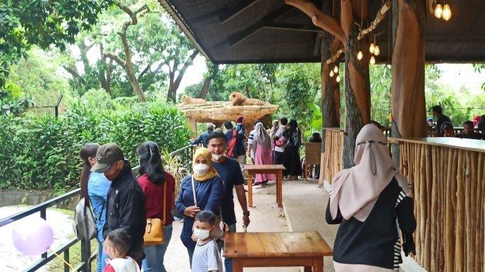 Bandung Zoological Garden (Bazoga) di Kebun Binatang Bandung ramai dikunjungi oleh wisatawan beberapa waktu lalu.