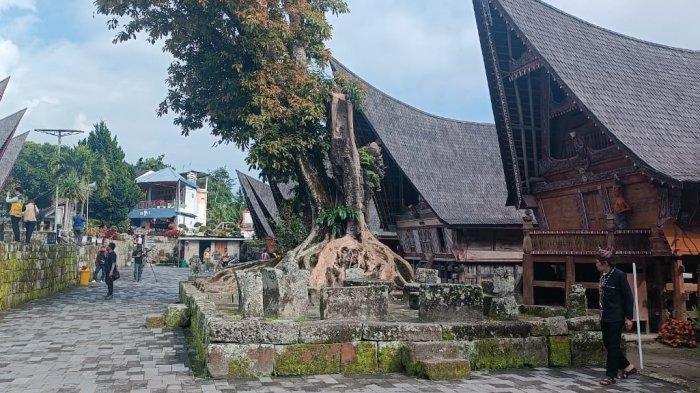 Suasana di Kampung Siallagan, Samosir. Pengunjung dapat melihat secara detail bagaimana musyawarah kampung di zaman dulu.