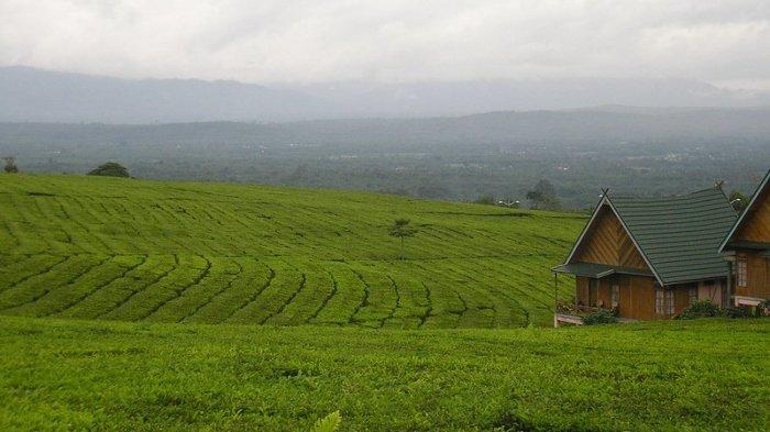 Suasana perbukitan di Pagar Alam, Sumatera Selatan dengan pemandangan Gunung Dempo.