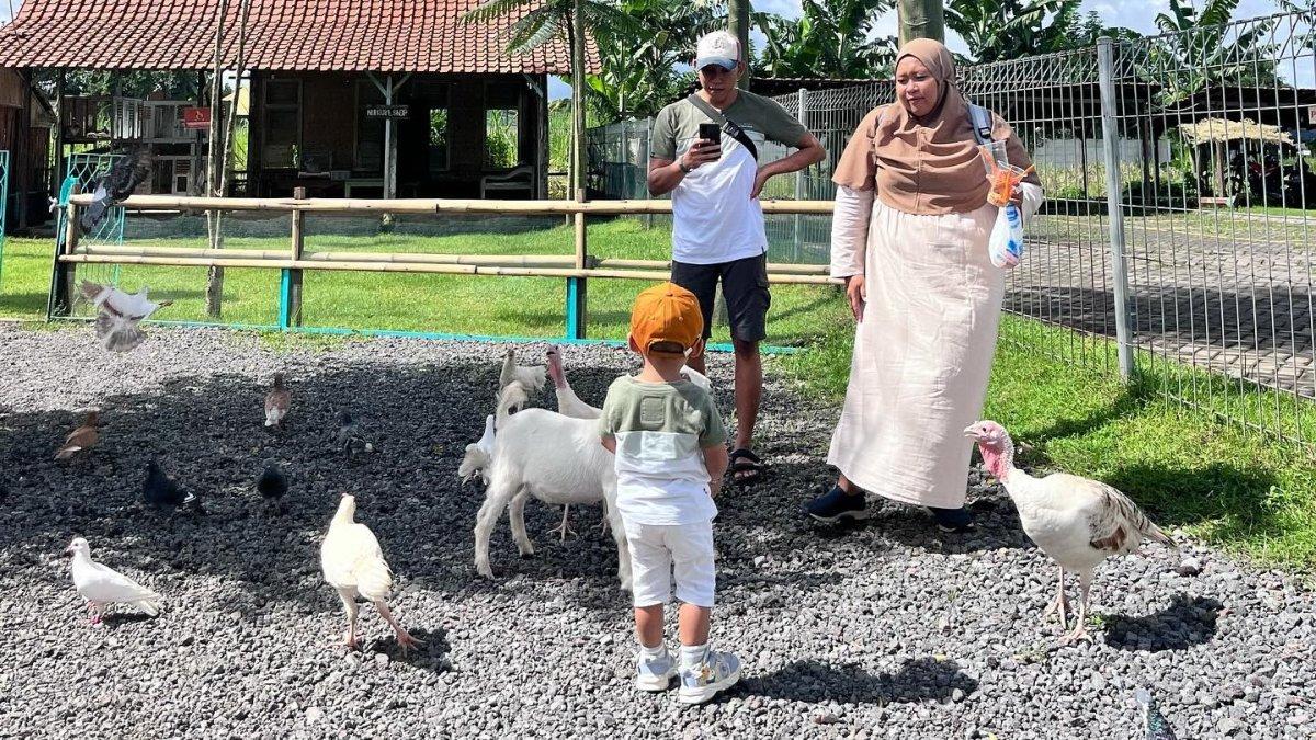 Sui Farm, satu tempat wisata baru di Malang Jawa Timur buat liburan keluarga.