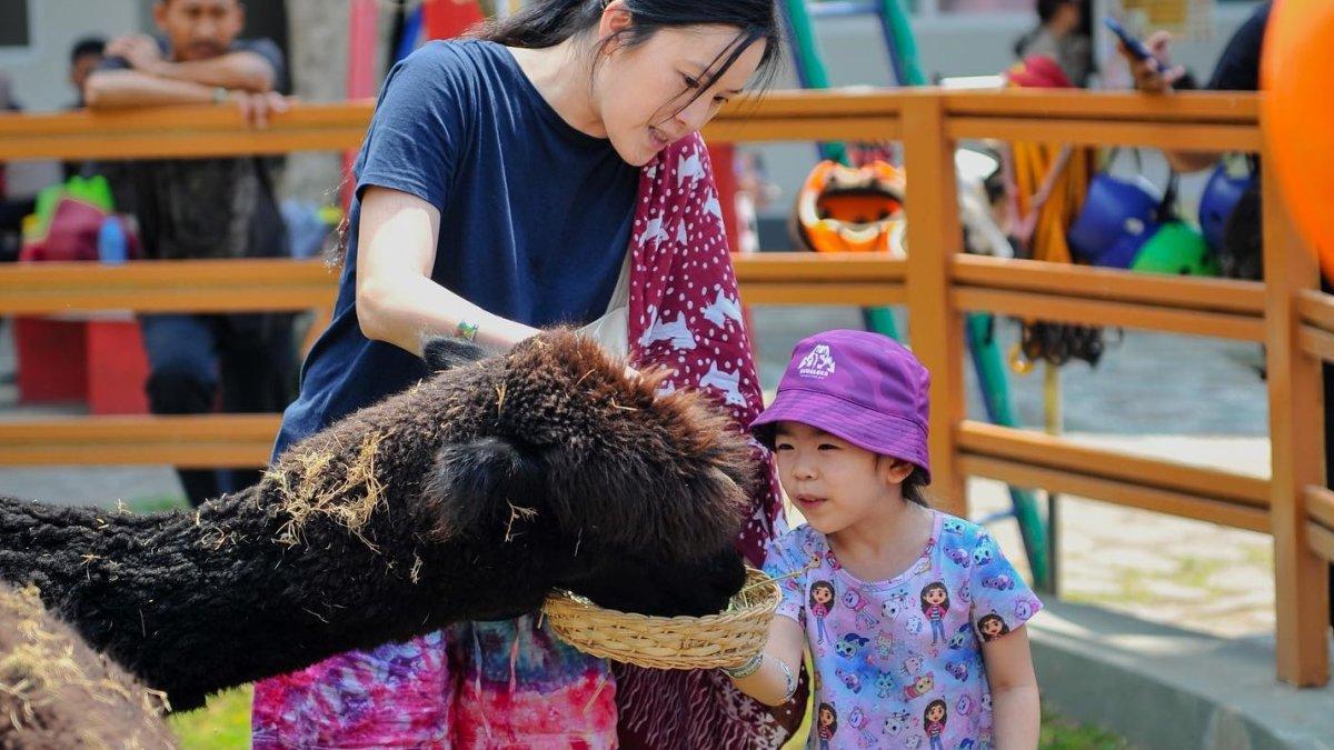Suraloka Zoo adalah satu tempat wisata hits di Jogja