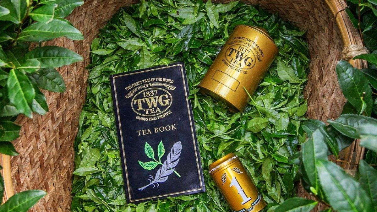 TWG Tea, satu oleh-oleh khas Singapura yang bisa kamu temukan di Bandara Changi dan Jewel.
