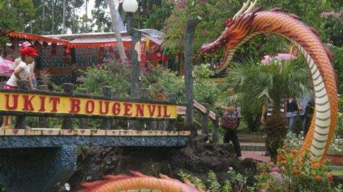 Taman Bougenvile Singkawang.
