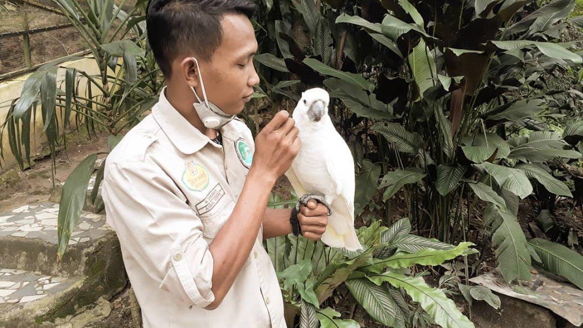 Taman Hewan Pematang Siantar, satu tempat wisata hits di Pematang Siantar, Sumatera Utara