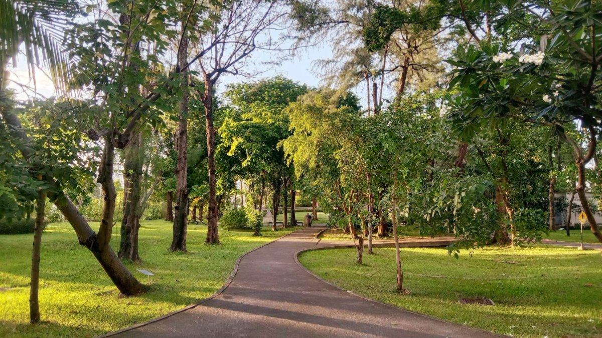 Taman Hutan Benjakitti, satu tempat wisata gratis di Bangkok Thailand
