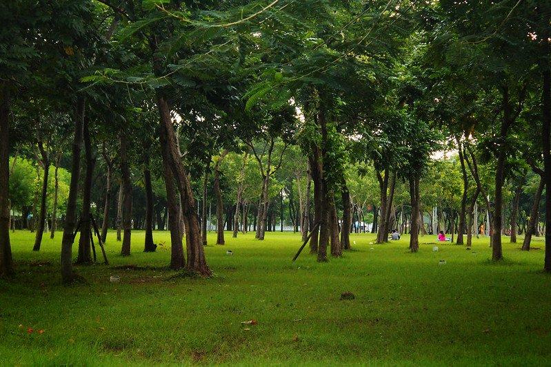 Taman Hutan Kota Penjaringan