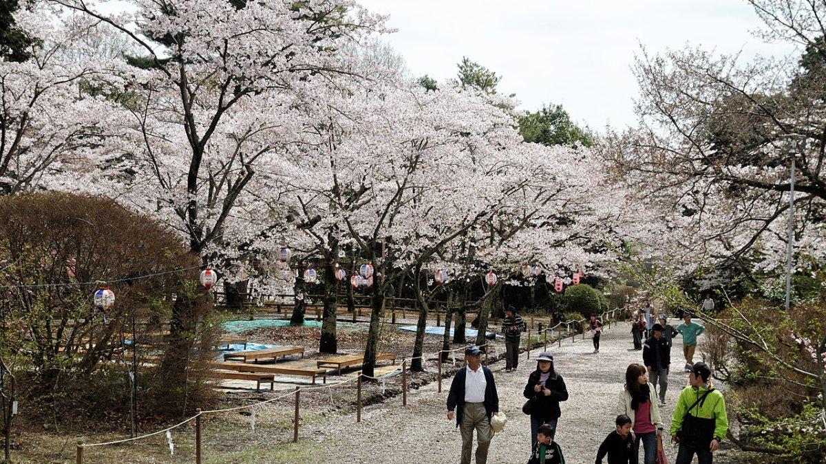 Taman Kairakuen, satu taman terbaik di Jepang di mana kamu bisa menikmati keindahan empat musim.