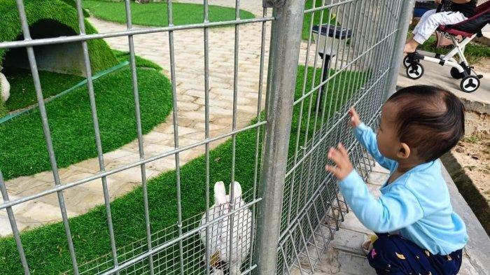 Taman Kelinci, wahana baru di Taman Rusa Sekupang ada di Jalan RE Martadinata, Tanjung Pinggir, Kecamatan Sekupang, Kota Batam, Kepulauan Riau.