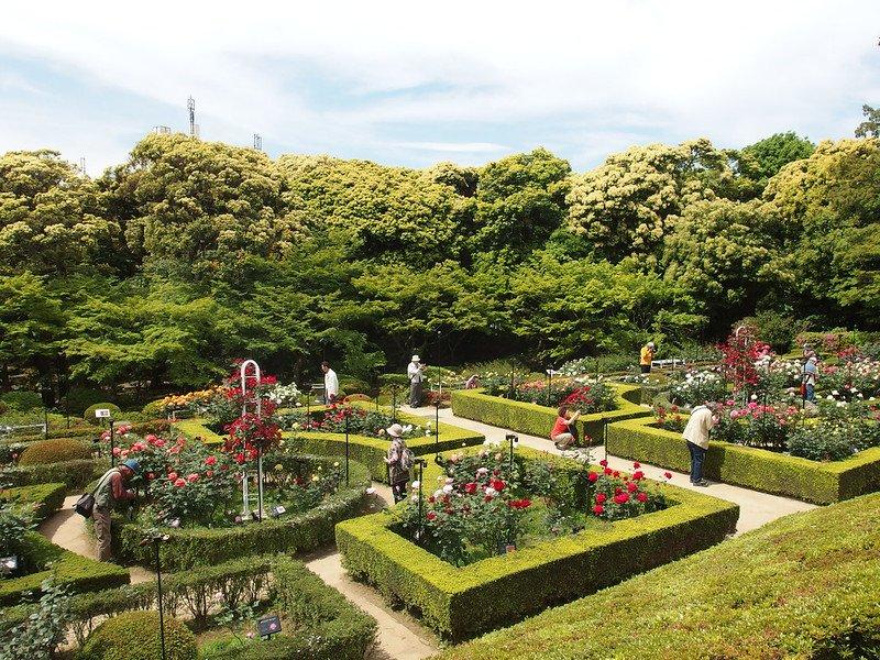 Taman Kyu-Furukawa, satu taman terbaik di Tokyo Jepang.