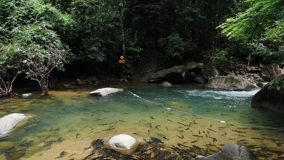 Taman Nasional Namtok Phlio, satu tempat wisata di Chanthaburi Thailand yang menarik buat kamu jelajahi.