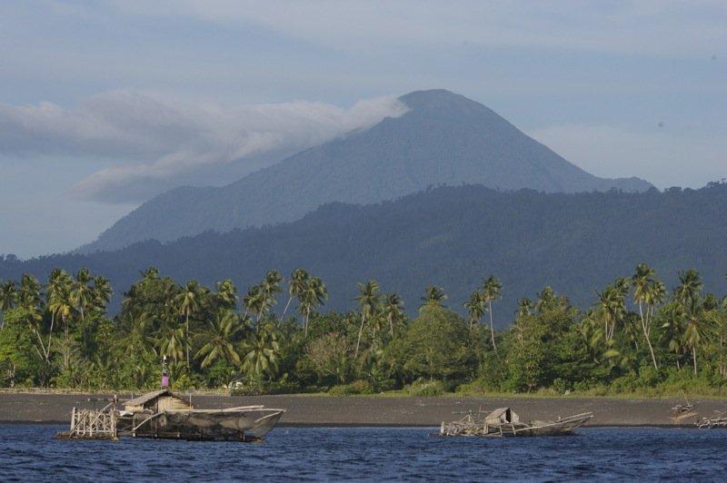 Taman Nasional Tangkoko yang bisa kamu kunjungi.