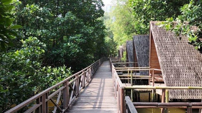 Taman Wisata Alam Mangrove Angke Kapuk, jadi salah satu tempat wisata menarik yang bisa dikunjungi di Jakarta.