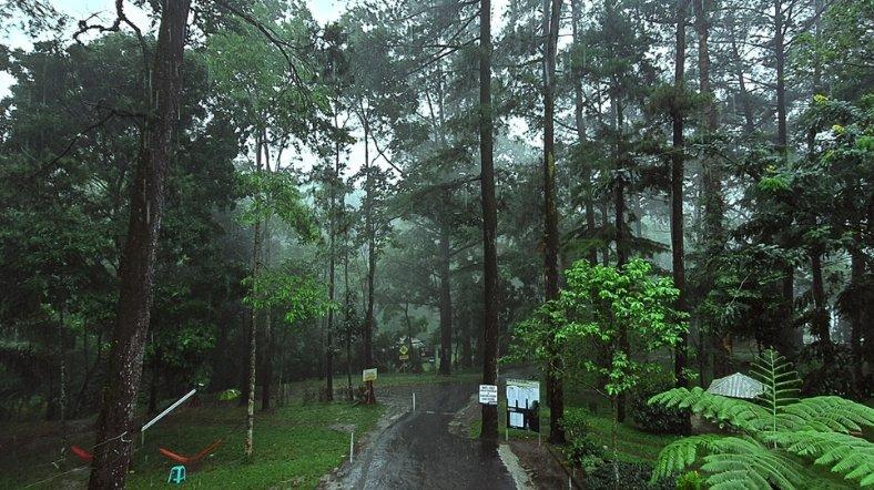 Taman Wisata Alam Linggarjati.