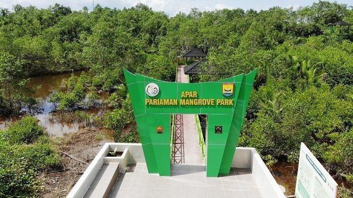 Taman Wisata Hutan Mangrove Pariaman, tempat wisata hits di Pariaman Sumatera Barat.