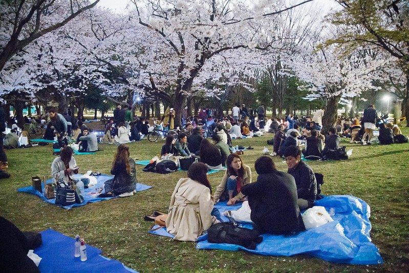Taman Yoyogi, satu tempat wisata di Tokyo Jepang buat menyaksikan bunga sakura.