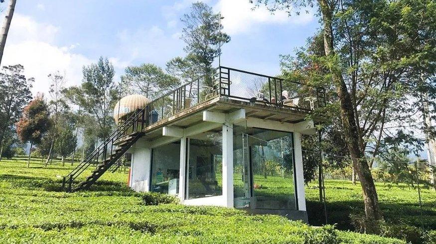Kafe di kawasan Kebun Teh Tambi Wonosobo.