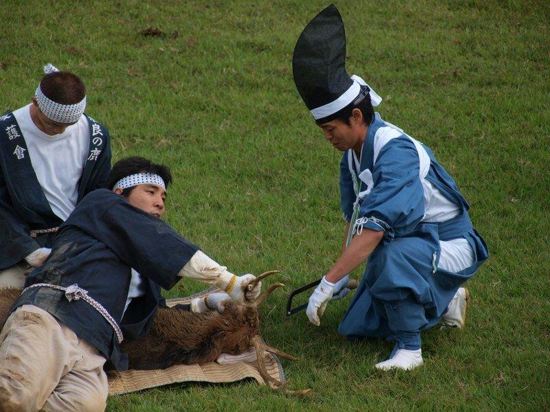 Tanduknya dipersembahkan kepada para dewa, dan rusa dikembalikan ke Taman Nara