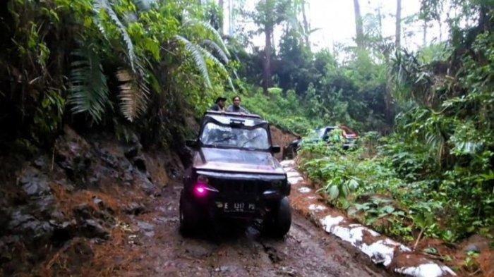 Mobil jeep yang membawa Pj Bupati Tegal Agustyarsyah bersama rombongan, saat menjajal jalur off road Tatamba Jeep Guci berkeliling di areal hutan pinus milik Perhutani di lereng Gunung Slamet beberapa waktu lalu.
