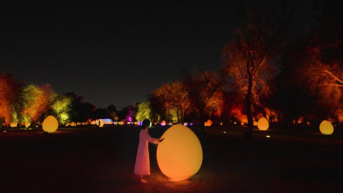 TeamLab Borderless, satu tempat wisata baru di Tokyo Jepang yang bisa kamu kunjungi pada tahun 2024.