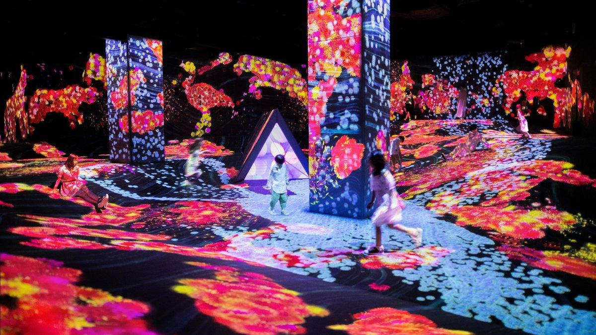 TeamLab Botanical Garden Osaka, satu surga tersembunyi di Osaka Jepang.