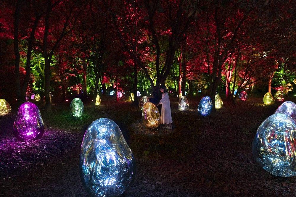 TeamLab Botanical Garden Osaka, satu taman hiburan terbaik di Osaka Jepang buat dikunjungi saat Natal dan Tahun Baru.