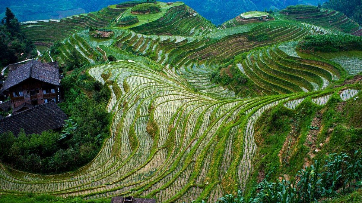 Teras Sawah Longji, satu tempat wisata terbaik di Tiongkok.