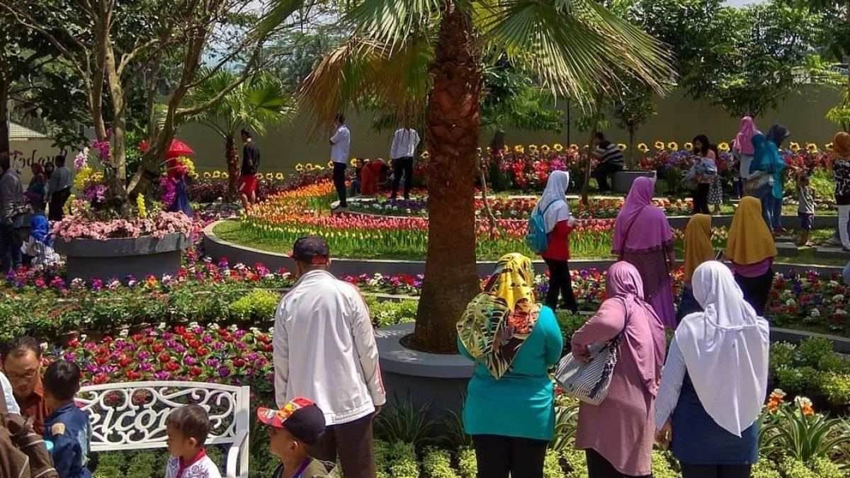 The Forest Island, Purwokerto, Jawa Tengah.